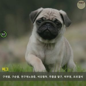 Meet your Posher, Jiyun